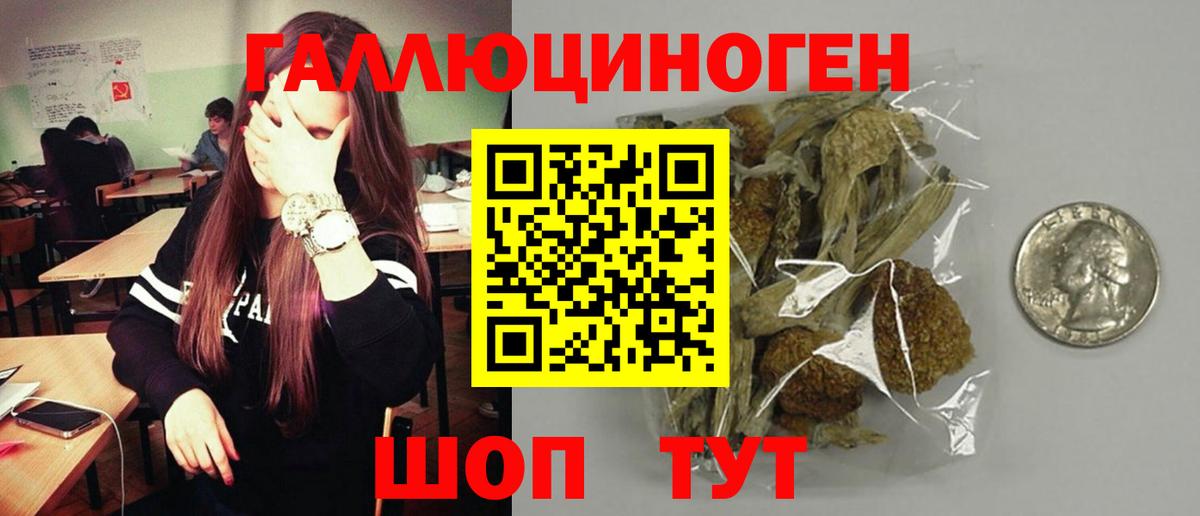 Галлюциногенные грибы мицелий Геленджик